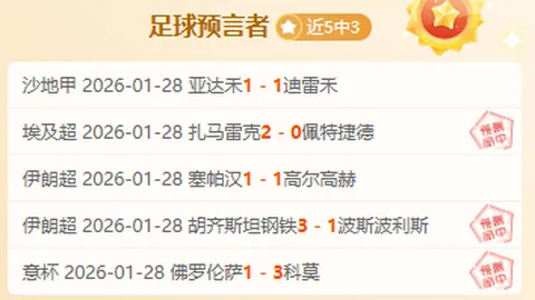 馬賽足球隊簡述