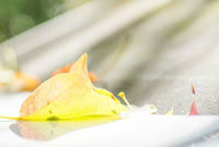 況並將其轉 況並將其轉